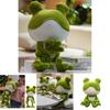 Entzückendes Weiches Plüsch Frosch Stofftier Spielzeug Ideal für Kinder Schlafenszeit Kuschelkissen