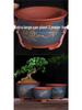2021 Extra Large Purple Clay Tall Cylinder Ceramic Flower Pot