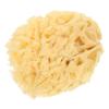 Spugna Marina Naturale 2.0-2.5 Pollici Morbido Strumento per Pittura Assorbimento d'Acqua Spugna Multifunzionale per Texture Fai-da-Te