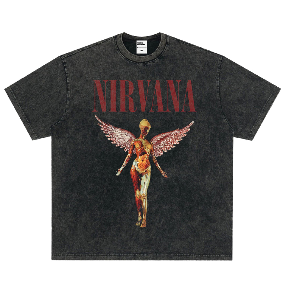 Nirvana Retro Angel Heavy Washed T-Shirt S разноцветный