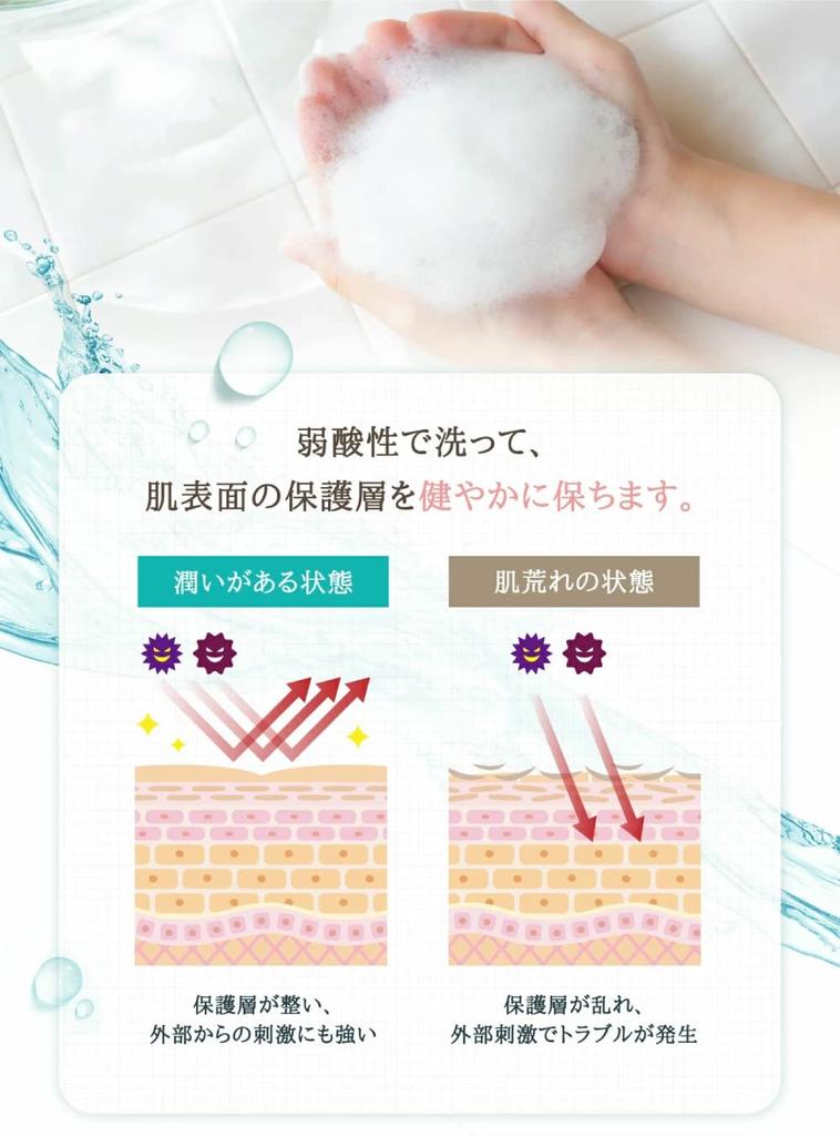 Delicate Zone Soap Feminine Wash 150ml 1 Bottle 1 Feminine PH-JAPAN-PREMIUM (Powder Mint, + Wet)