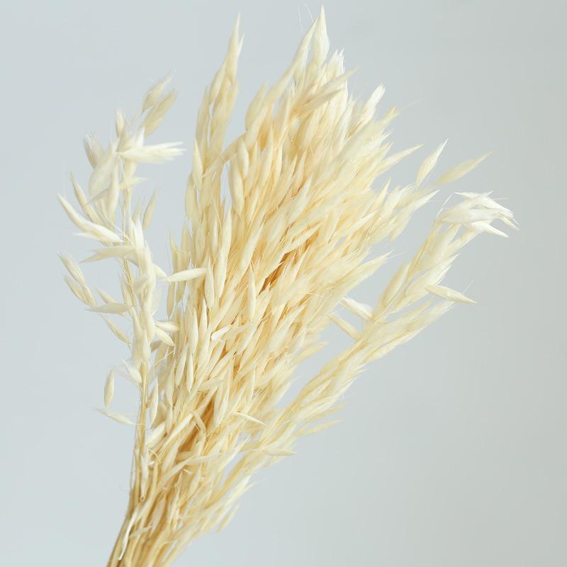 Yunnan Dried & Immortal Flowers Bouquet: Baby's Breath, Roses, Forget-Me-Nots for Home & Homestay Decor