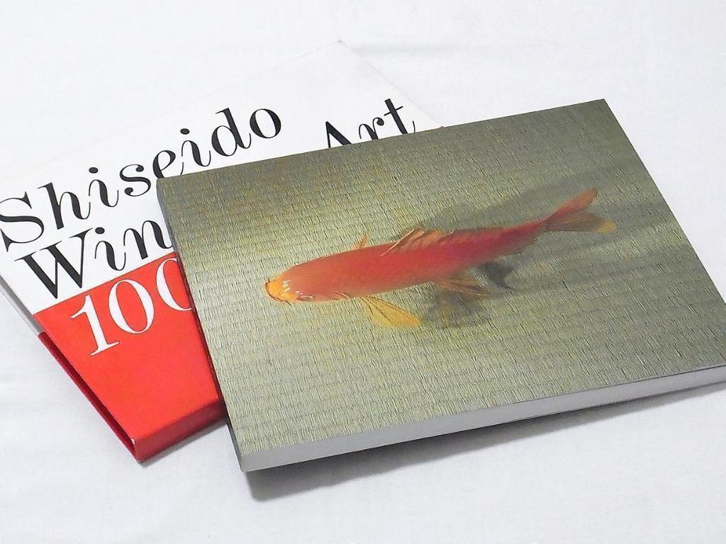 [USED] Shiseido Window Art 100