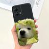 For Motorola Moto G73 5G Phone Case Black Soft Silicone Anti-knock Cover For MotorolaG73 G 73 Capa Panda Rabbit Cat Luxury Capa