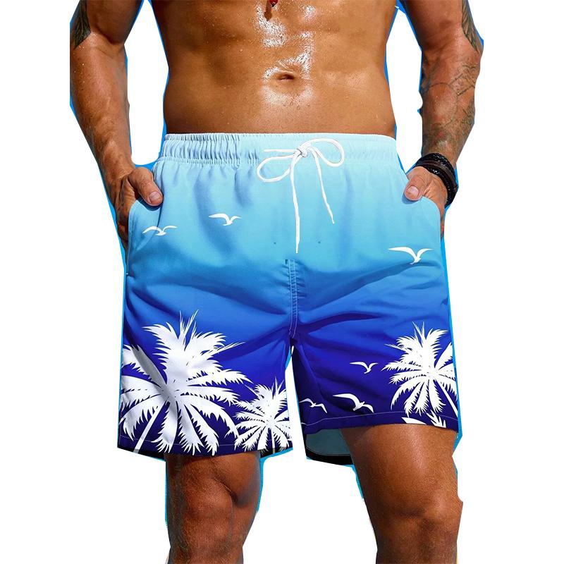 

3D Print Sport Quick-dry Breathable Men Short Pants Outdoor Street Casual Trendy Vacation Loose Comfortable Summer Beach Pants 2XL небо синє кольору