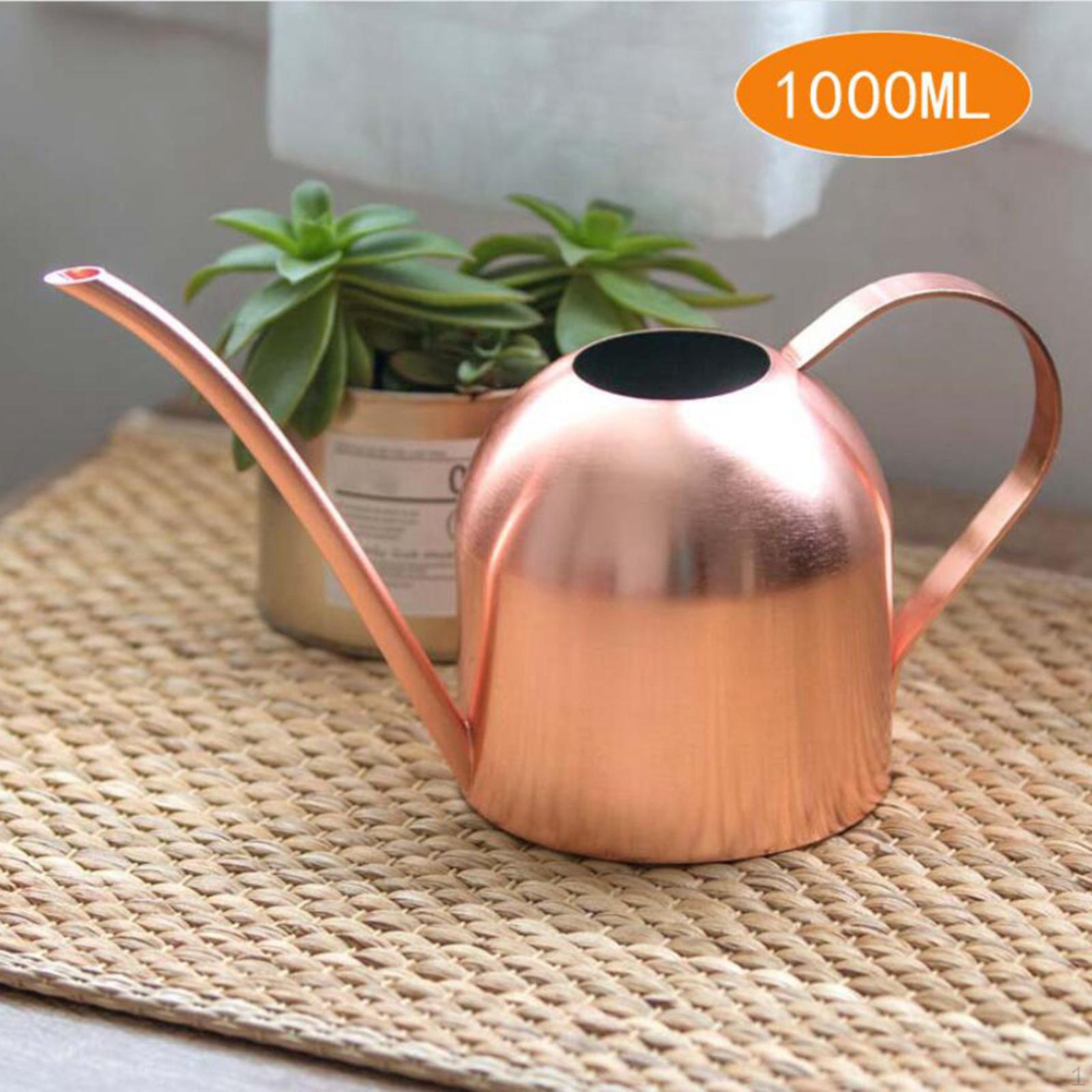 

Лейка из нержавеющей стали объемом 1000 мл для помещений с длинным горлышком для цветочного горшка бонсай