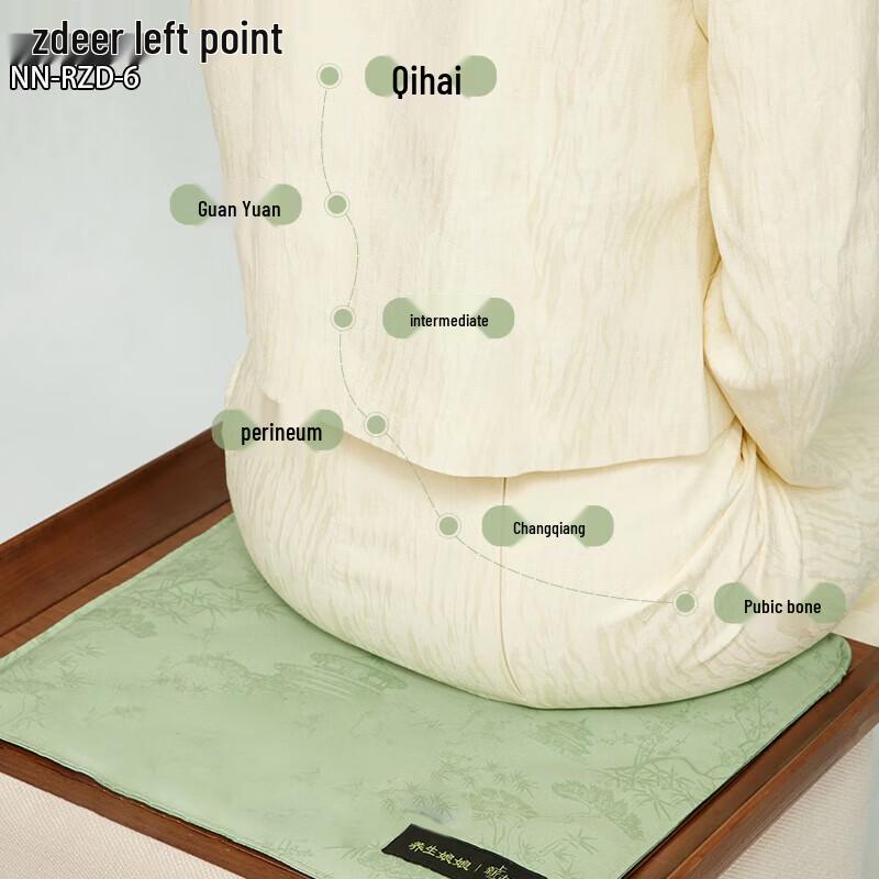 Zuodian Electric Mugwort Hot Compress Seat Cushion