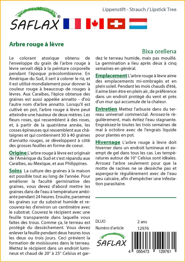 SAFLAX Gift Set - Lipstick Tree - 20 Seeds - With Gift Box, Card, Label and Potting Substrate - Bixa Orellena