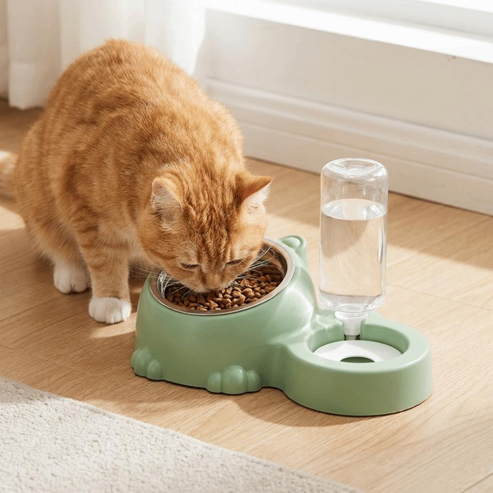 2 In 1 Cat Double Bowl Large Capacity Cat Water Dispenser Cat Feeder Bowl Daily Pet Feeding