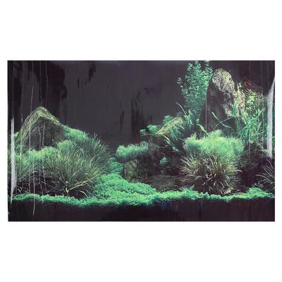 Coral Aquarium Background Underwater Poster Fish Tank Wall Decorations Sticker 61 X 41cm