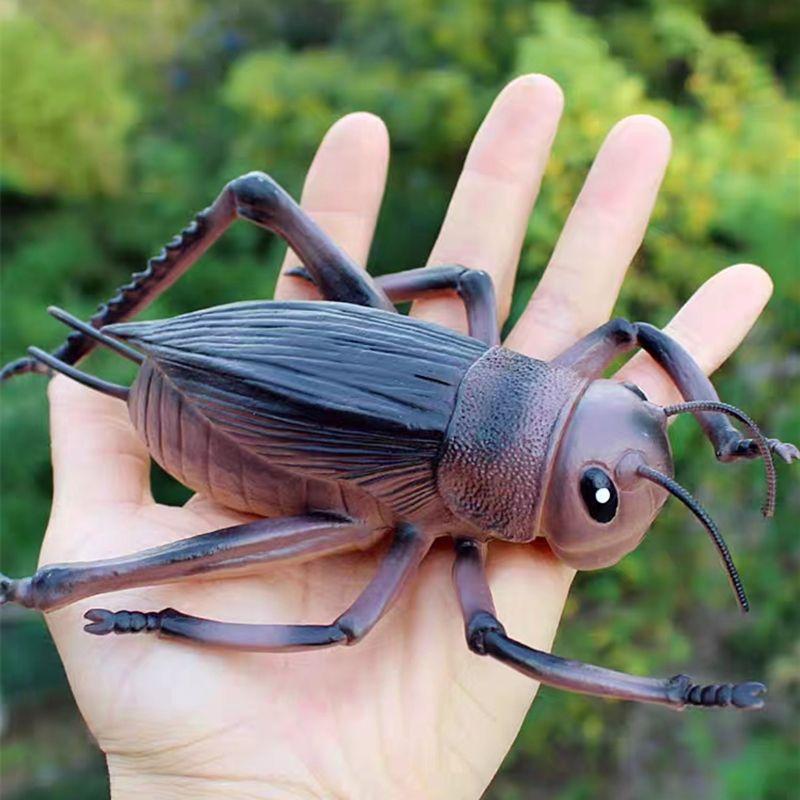 Wild Insect Animals Model Set Butterfly Scorpion Mantis Cicada Lizard Action Figures Miniature Kid Education Halloween Toy