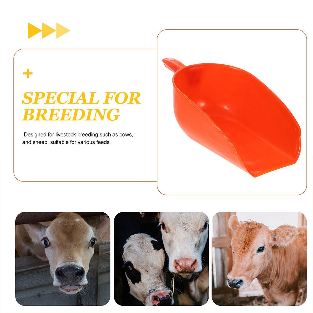2 Pcs Breeding Feeding Bird Seed Scoop Poultry Charcoal Plastic for Farm Reusable Garden