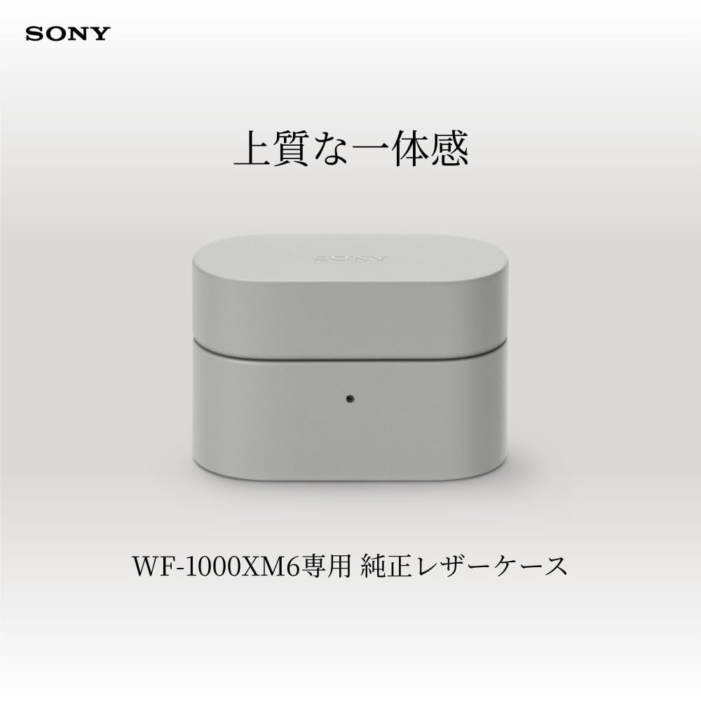 Sony WF-1000XM6 Case Cover Platinum Silver HAC1000XM6CHC