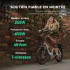 FAFREES F20 - 20" Skládací elektrokolo - 250W Motor - Odnímatelná 36V/18Ah 648Wh Baterie - Dojezd 90 km - 7 rychlostí Shimano, Černá
