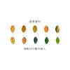 1roll/50pcs Yellow Autumn Leaves Series, Creative Plant Stickers for Hand Account Decoration