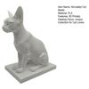 Simuliertes haarloses Automodell, Realistische Sphynx haarloser Katzenfiguren-Sammlung, Wissenschaftliches Lernmittel, Schreibtischverzierung für Zuhause Büro Wohnzimmer