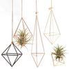 Geometrischer Hängepflanzer - Wandhalter mit Tasche für Grünpflanzen & Luftpflanzen, Perfekte Dekoration für Zuhause und Hof