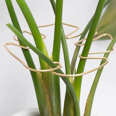 Progettazione giardini e paesaggi – Supporti per piante