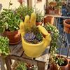 Unique Shape OK Gesture Planter 3D Printed Hand Shaped Planter Hand Sculpture Decor  Office Decor