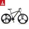 Phoenix 26-inch 24-Speed Mountain Bike