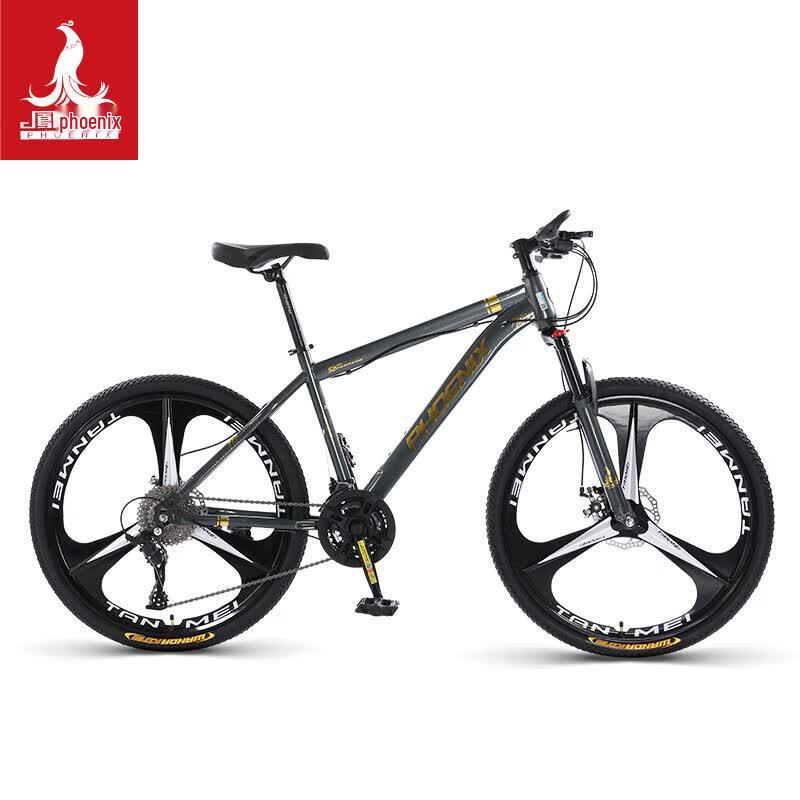 Phoenix 26-inch 24-Speed Mountain Bike