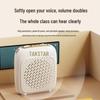 TAKSTAR D1W Clip-on Wireless Voice Amplifier CN plug (adapter included)