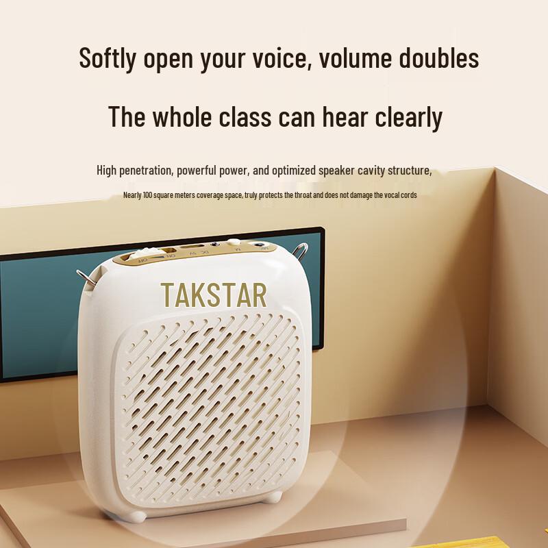 TAKSTAR D1W Clip-on Wireless Voice Amplifier CN plug (adapter included)