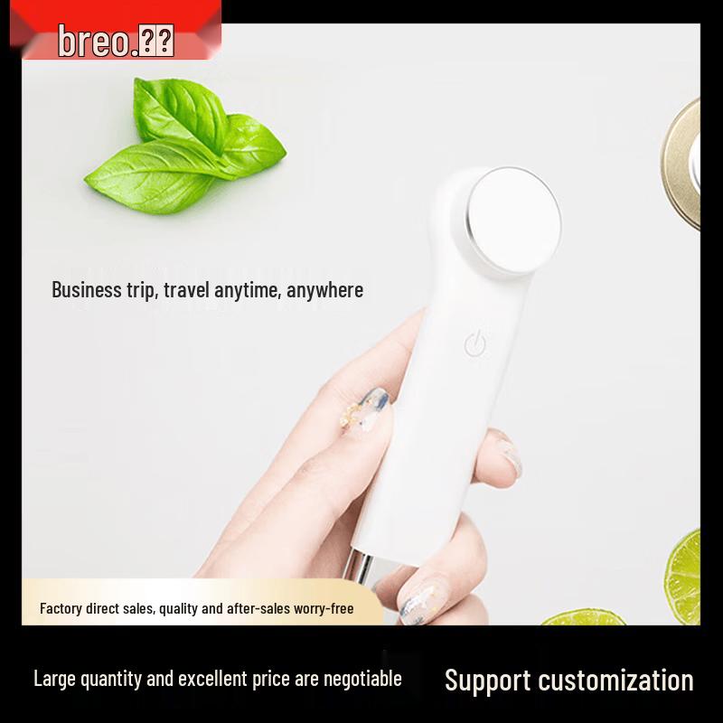 Breo Warm Sensing Facial Beauty Device CN plug (adapter included)