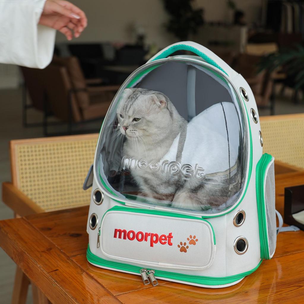 Large Capacity Transparent Pet Backpack - Breathable Space Capsule Design for Cats