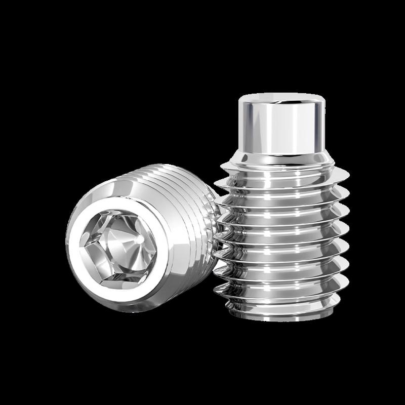 Stainless Steel Internal Hex Socket Set Screw