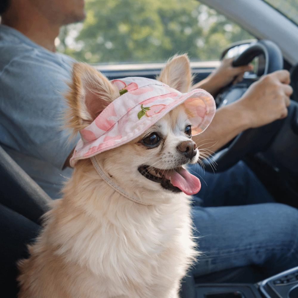 with Ear Holes Dog Sunscreen Hat Breathable Pet Visor Hat Fashion Cat Fisherman Hat  Summer Outing