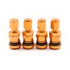 4Pcs Car Truck Motorcycle Valve Short Stems Metal Bolt Tire Valve Stem Kit with Dust Cap Stem Caps1