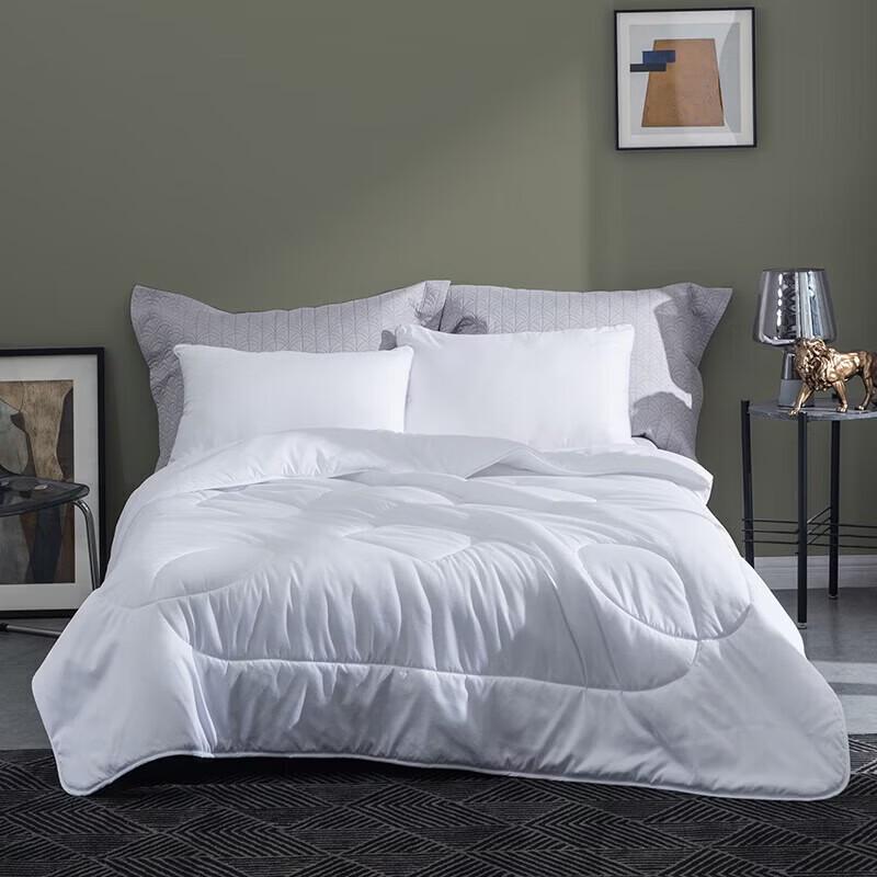LUOLAI Seven-Hole Cloud Soft Four Seasons Comforter