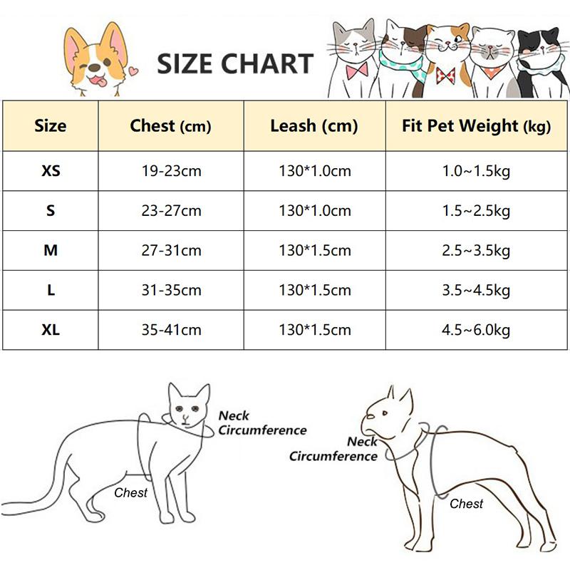 Professional Dog Cat Harness Leash Set Adjustable Lace Floral Pet Harness Vest Cute Puppy Dog Princess Dress Skirt Walking Lead Chihuahua