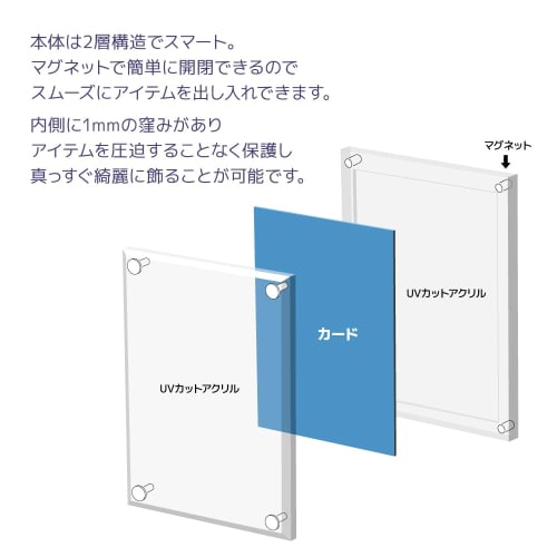 The Case PRO Standard Size