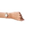 Skagen FREJA SKW2665 Officially Imported Women's Watch,