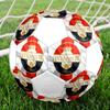 Willem II Tilburg size5 Soccer Ball, colorful, suitable for all ages, machine-stitched, PVC material, competition grade,durable and high bounce