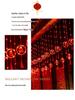 Spring Festival LED Red Lantern Ornaments: Solar Fu Character Colored String Lights for New Year Balcony Decor.