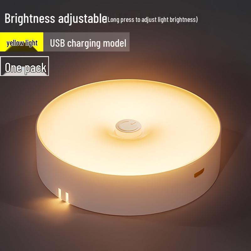 LED Motion Sensor Night Light for Bedroom, Bedside, Wardrobe, and Cabinet - Rechargeable Magnetic Induction Light