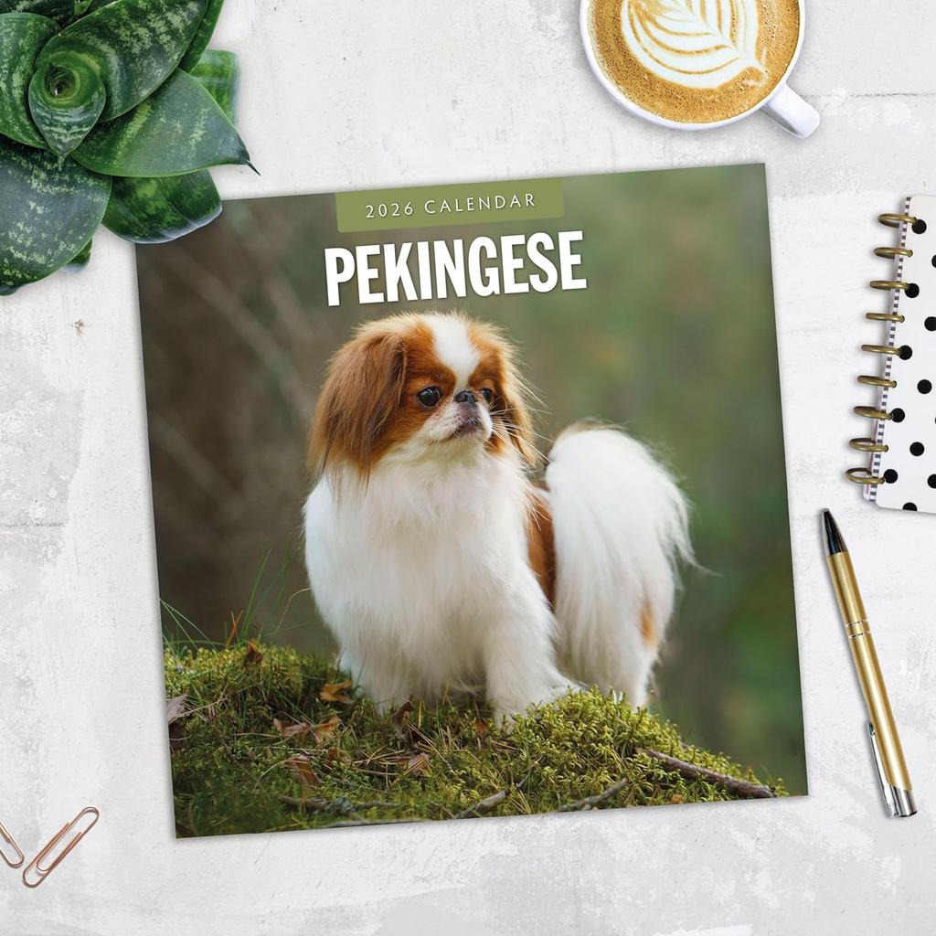 Red Robin 2026 Pekingese Monthly Wall Calendar | 12" x 24" Open | Premium Thick & Sturdy Paper | Hangable 12 Month Calendar | Lined Notes & To Do