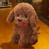 Puppy Dolls Simulation Dog Plush Stuffed Animals Stuffed Poodle Doll Plush Dog Toy  Boys Girls