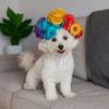 Pet Supplies Colorful Pet Costume Wig Cute Adjustable Pet Cosplay Wig Decorative Adorable Cat Headwear for Party Dress Up