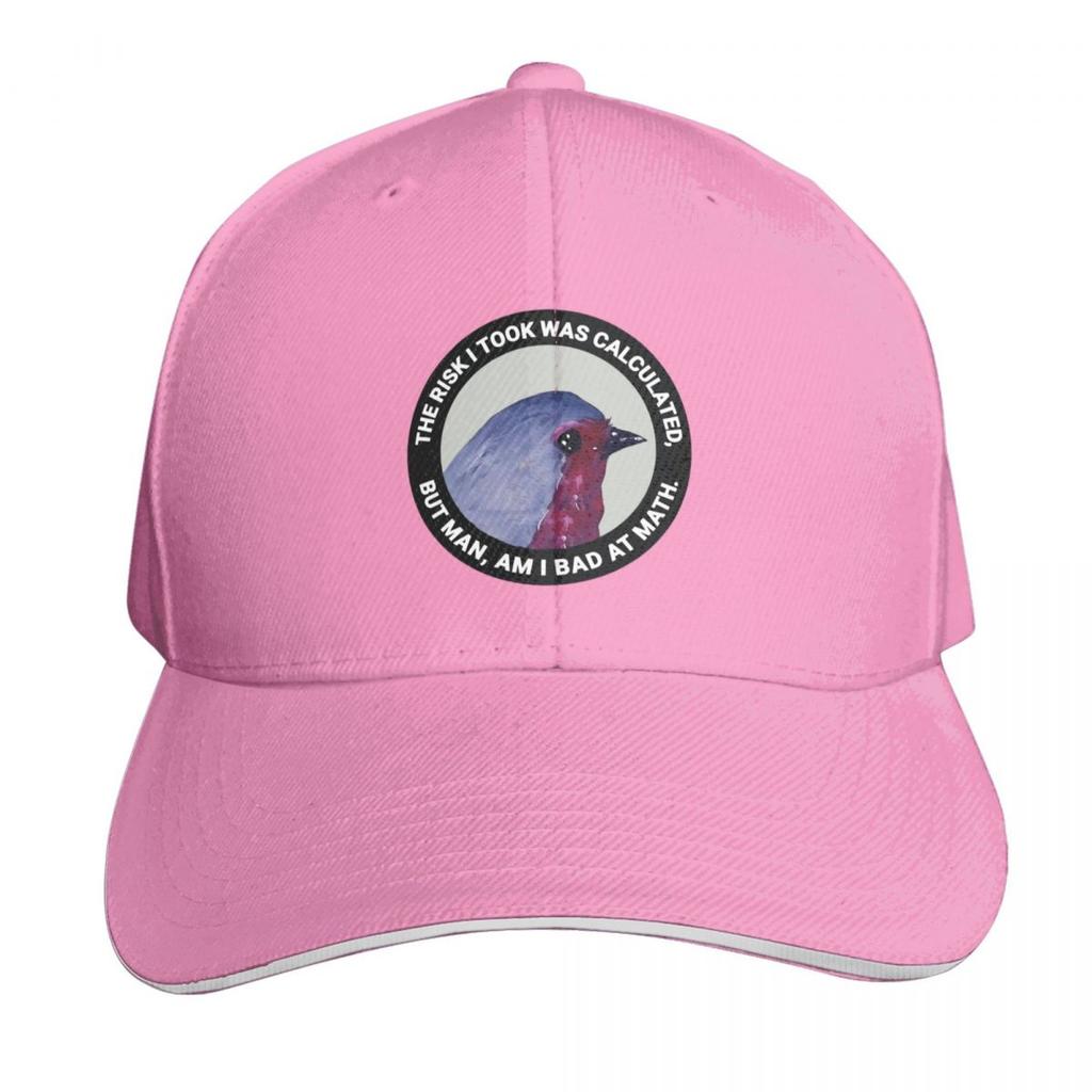 The Risk I Took Was Calculated But Unisex Am I Bad At Math Baseball Cap Fishing Caps Unisex Golf Womens Hats Unisexs
