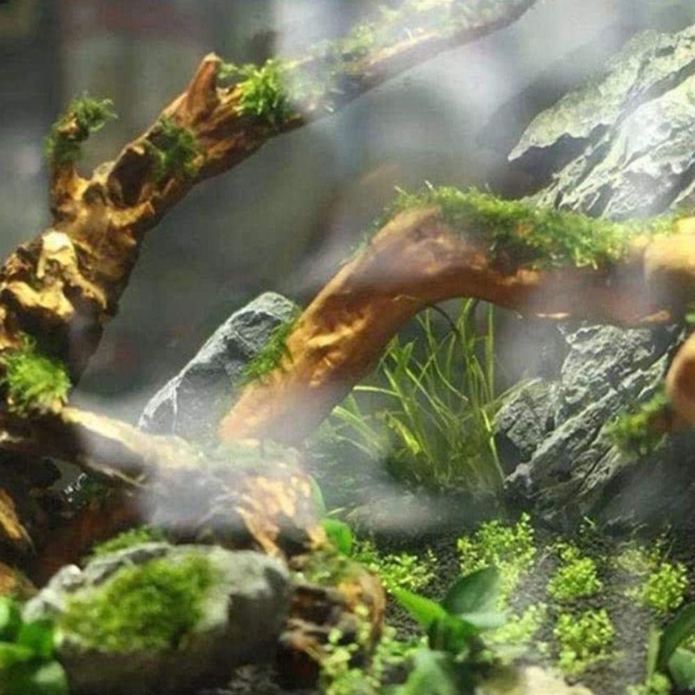 Large Branch Driftwood Natural Micro Landscape Decoration Driftwood Ornaments  Reptiles