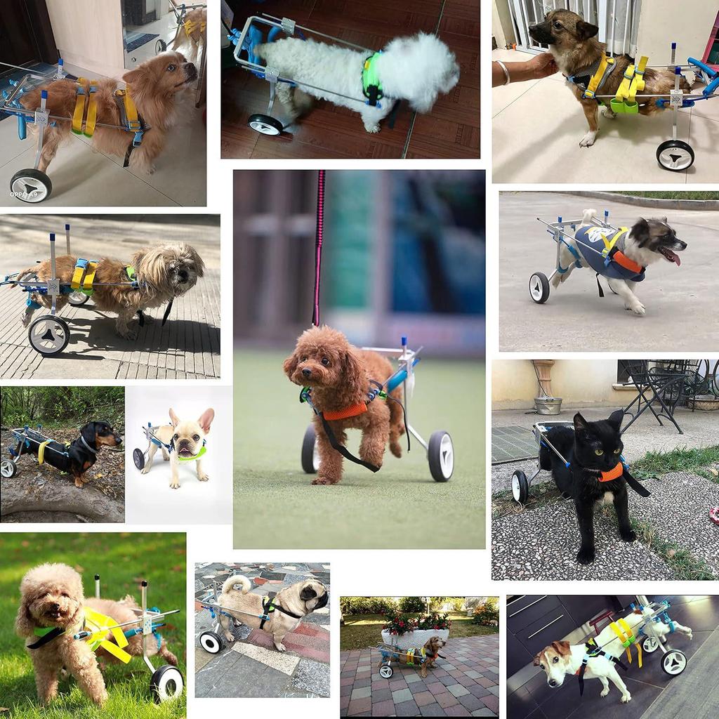 Corgi Mobility Aid: Cross-Border Pet Wheelchair for Disabled or Post-Op Rehabilitation