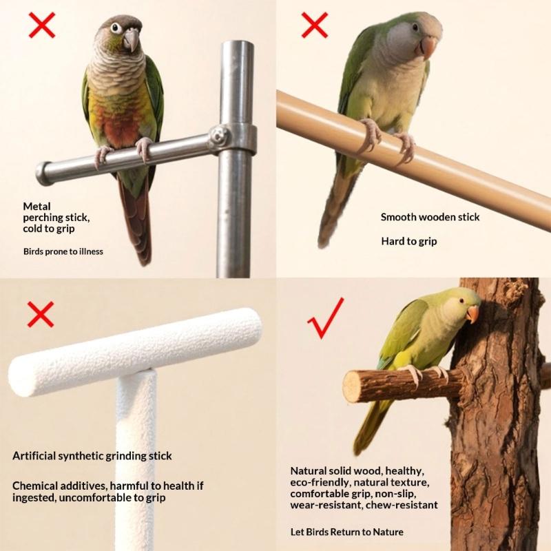 Parrots Swing Hammock Perch Metal Chain Wooden Rod Small Bird Toy For Cages Outdoor Use