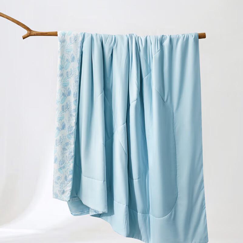 

Huaxia Shengjin Washable Silk Summer Quilt