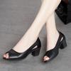 Summer Comfortable Fang and Elegant Women's Casual Sandals Fashionable New Round-headed Low-cut Sexy Party High-heeled Sandals
