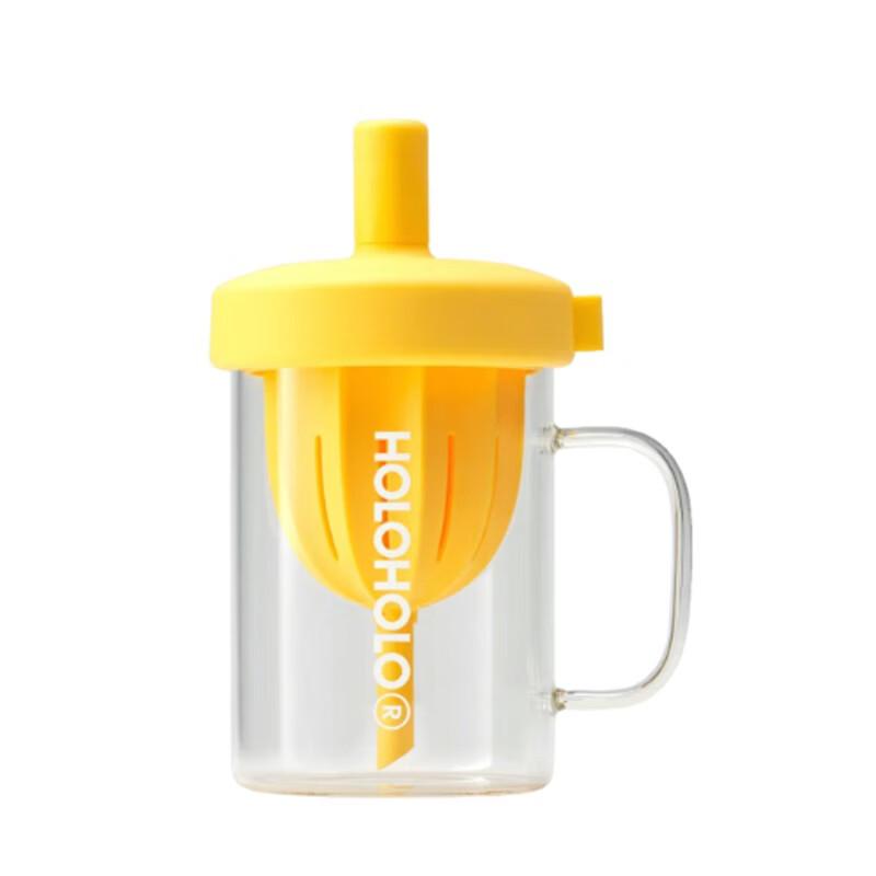 HOLOHOLO Tea Infuser Borosilicate Glass Water Bottle