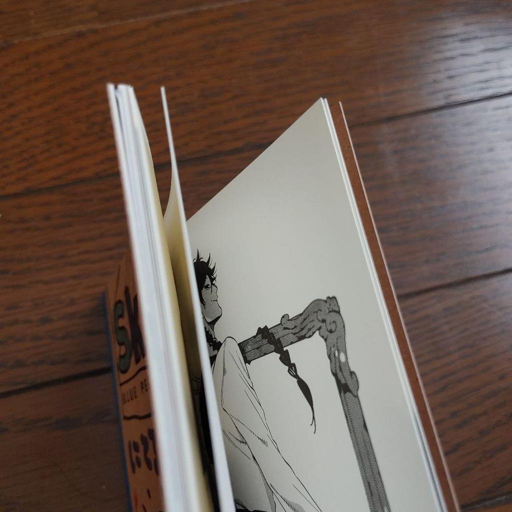 [USED] Blue Period Bonus Sketch Special Book Tsubasa Yamaguchi Illustration Collection